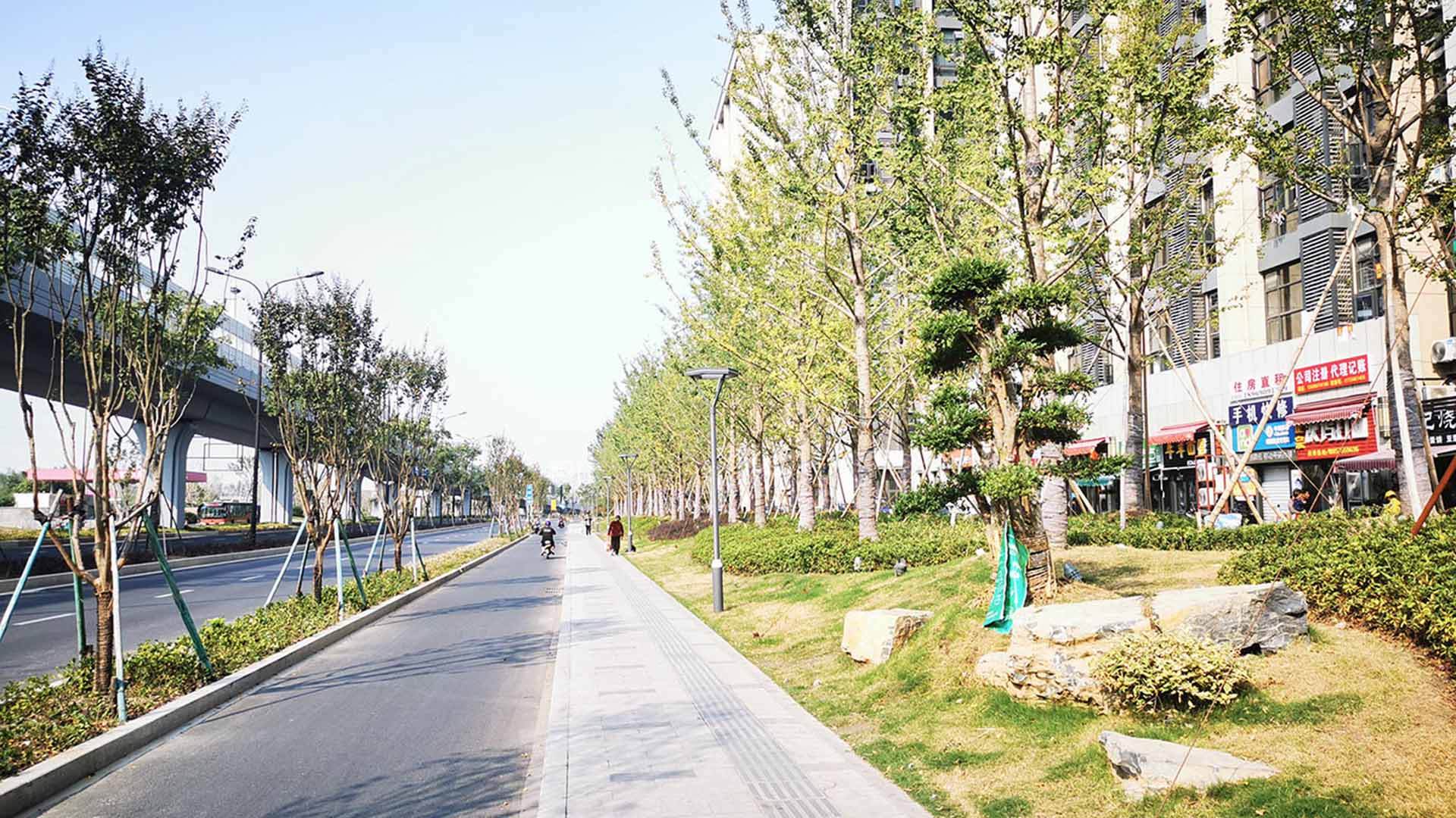 2019--迎賓大道改造提升工程（滬杭高速以南段）一標段